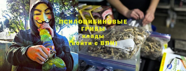 амф Алексин