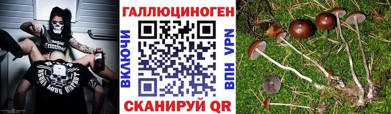 Галлюциногенные грибы MAGIC MUSHROOMS  Купить  Алатырь 